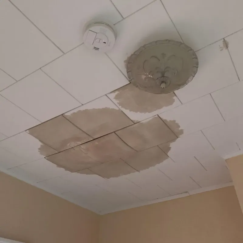 Ceiling Water Damage Repair in Nashville, NC