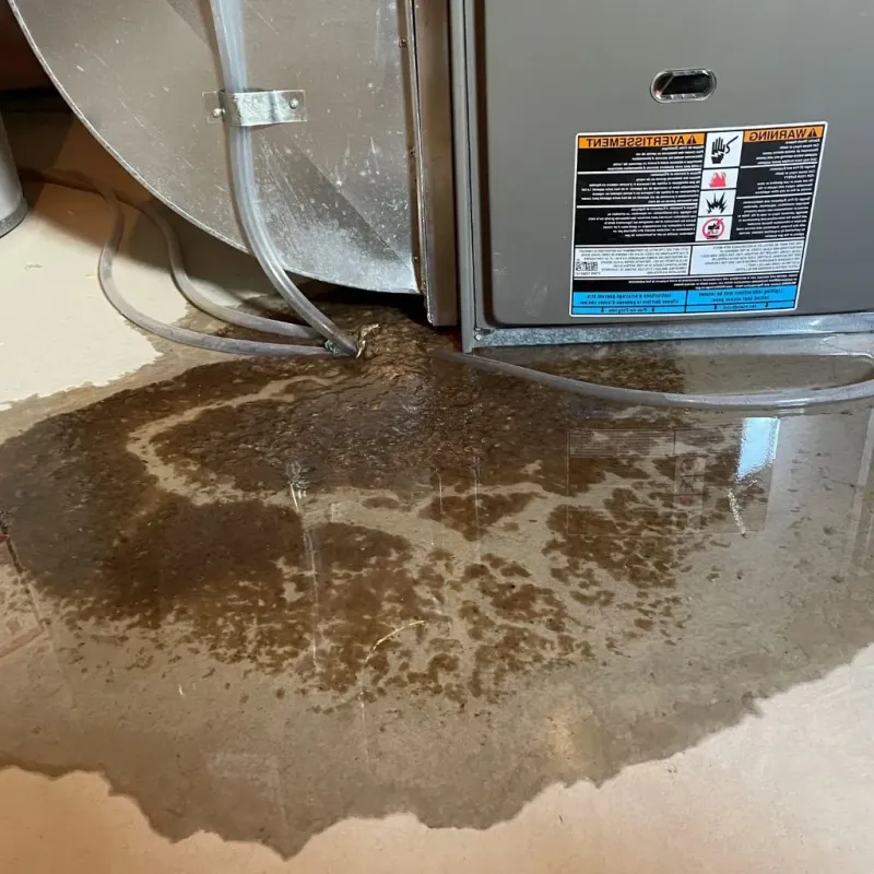 Pipe Burst and Leak Restoration in Nashville, NC