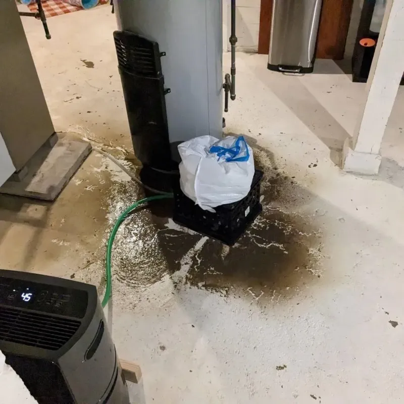 Sewage Backup Cleanup Service in Nashville, NC